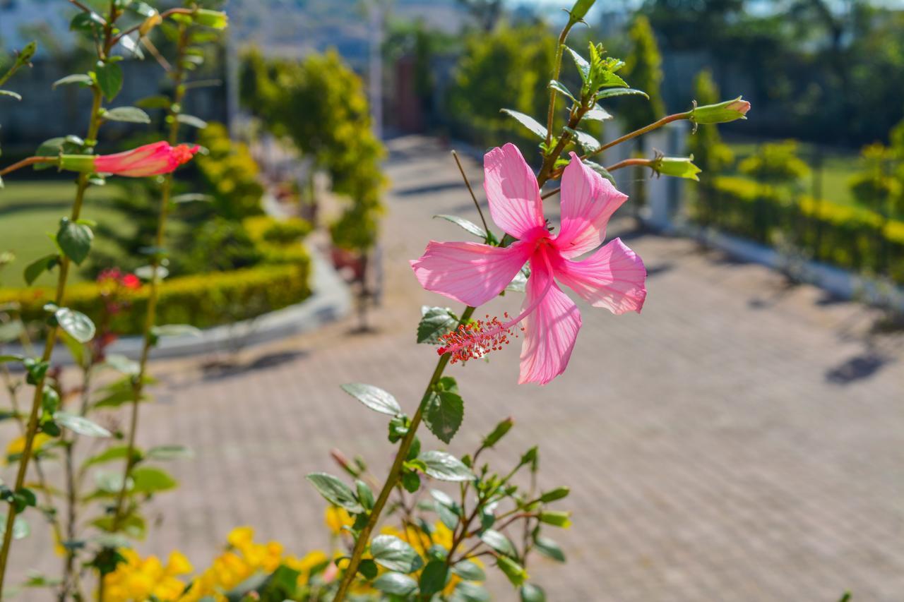 Tiger Hill Homestay Udaipur Exterior foto